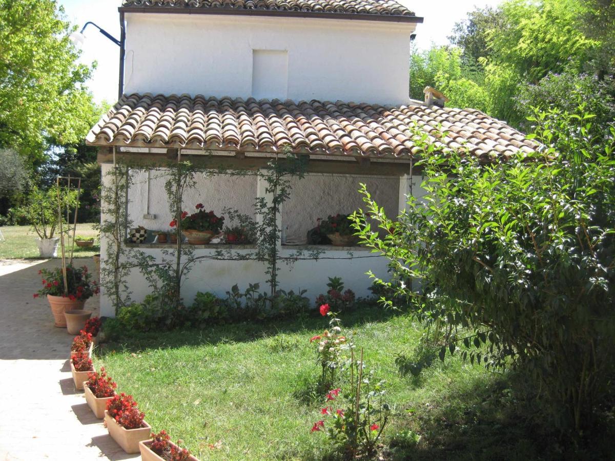 Casa Dei Pini Country House Panzió Osimo Kültér fotó