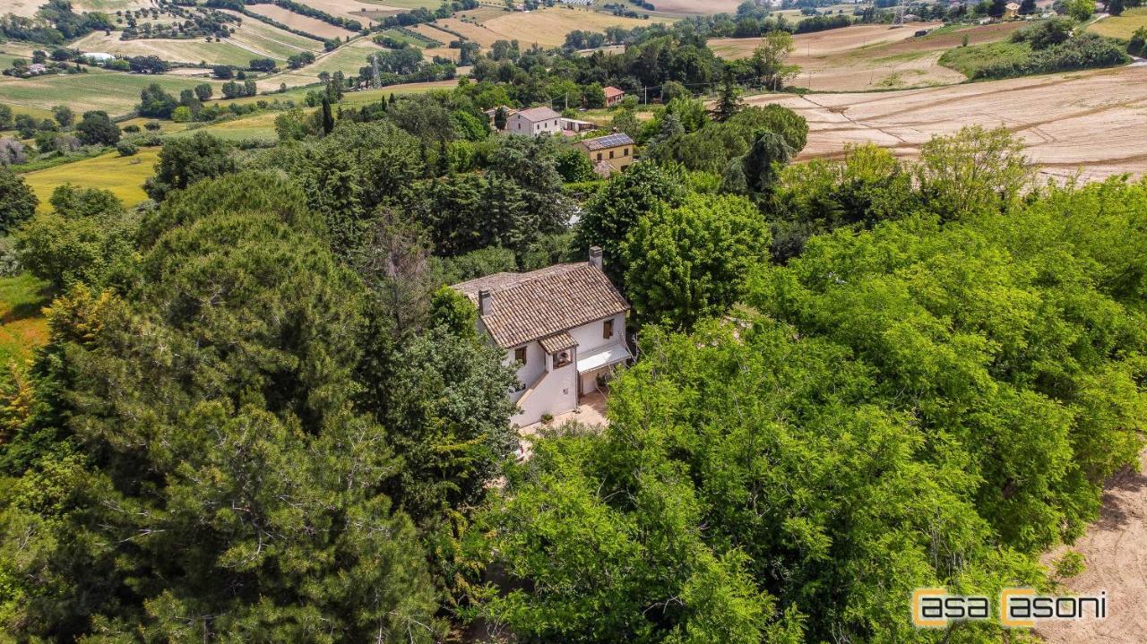 Casa Dei Pini Country House Panzió Osimo Kültér fotó