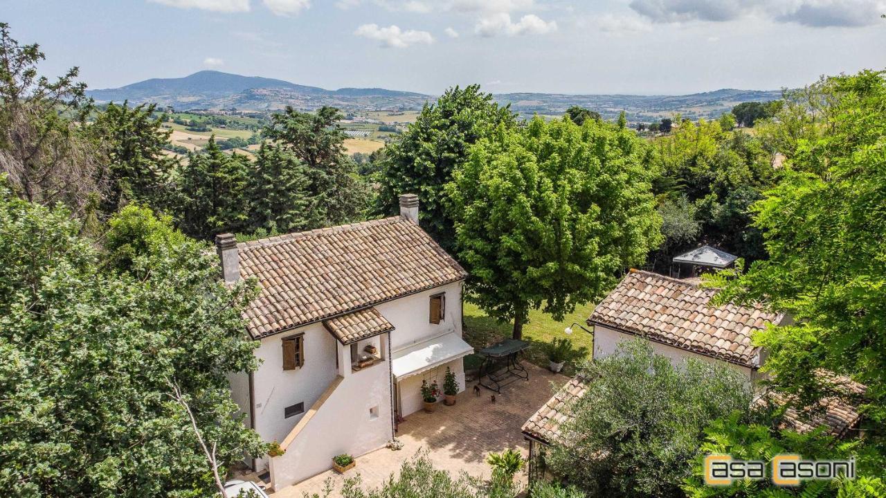 Casa Dei Pini Country House Panzió Osimo Kültér fotó